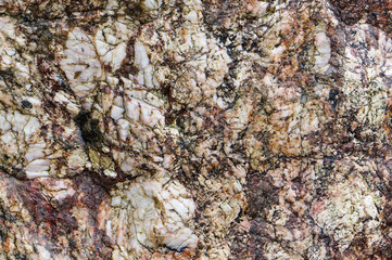Sea stone texture. Panel texture. Spots gray red background. Background fill. Natural stone background.