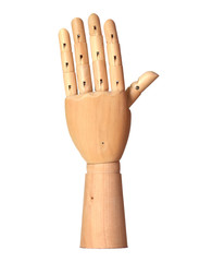 view of the back of an open wooden hand isolated