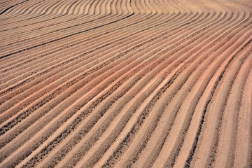 Campo arado preparado para la siembra