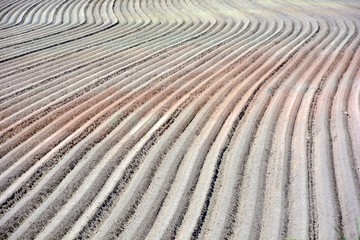 Campo arado preparado para la siembra