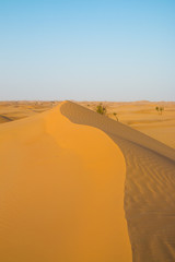 Schöne Düne in der Sahara