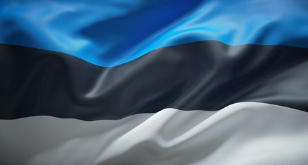 Official flag of the Republic of Estonia. - obrazy, fototapety, plakaty