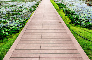 Wooden straight walkway and green grass in the outdoor botanical garden