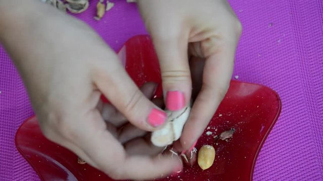 Girl cleans a peanut. Pulls nuts from husks on burgundy plate, raspberry background. peanut in a shell. food background of peanuts