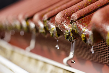 Close-up with selective focus of old red concrete tiled roof and water dropping into white metal...