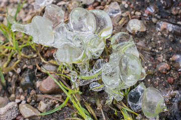 Frozen water. Weather forecast. Cooling.
