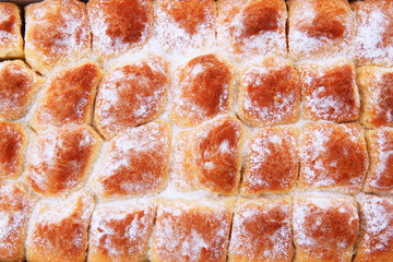 typical czech cake with plum jam