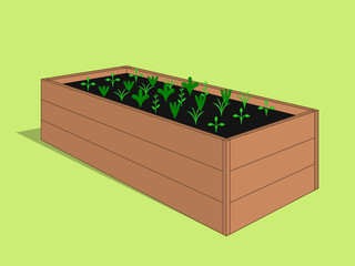 Wooden raised garden bed with young sprouting plants. Vector hand drawn illustration eps10.