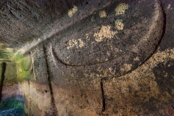 Dettaglio Corna scolpite Domus de Janas Sennori - Sardegna