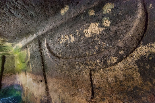 Dettaglio Corna scolpite Domus de Janas Sennori - Sardegna
