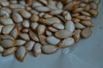 Heap of pumpkin seeds on white background