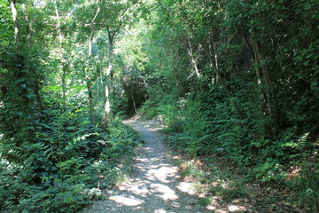 Natural Park of Krka in Croatia