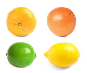 Set of different fresh ripe citrus fruits on white background