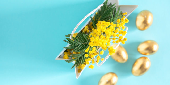 Easter composition with mimosa flowers. Branches flowers mimosa, Easter golden eggs on bright blue background. Flat lay, top view, copy space