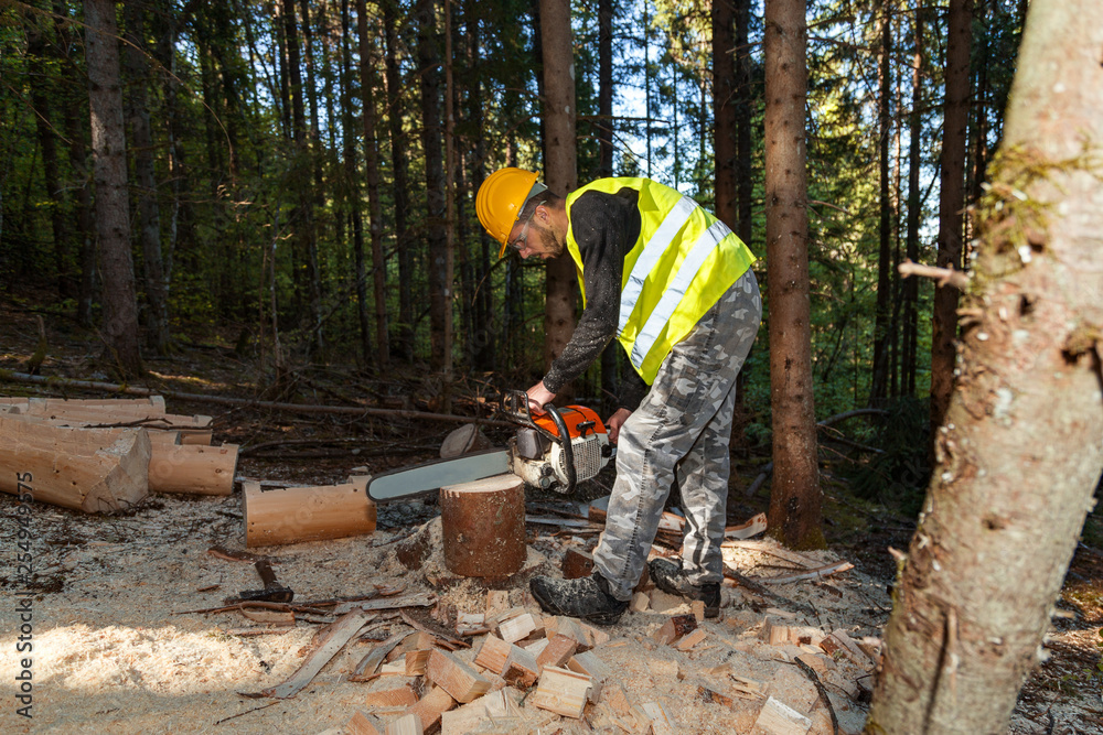 Wall mural lumberjack working with chainsaw in a forest