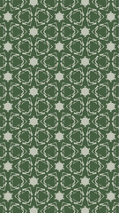 Ornate geometric pattern and two-tone abstract background