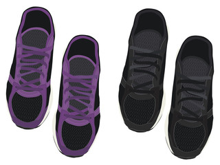 Sneakers. Vector illustration