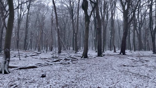 Storm clouds moving in over the Wadden sandflats