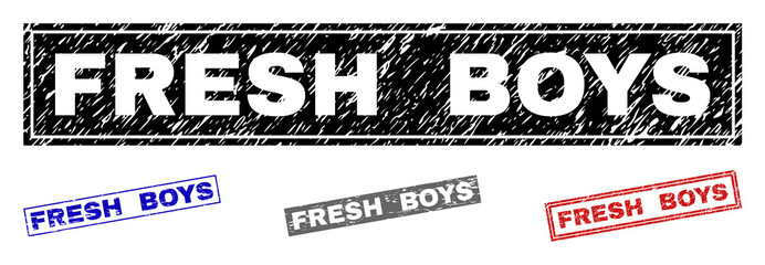 Grunge FRESH BOYS rectangle stamp seals isolated on a white background. Rectangular seals with grunge texture in red, blue, black and gray colors.