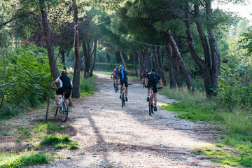 Obraz premium Bikes ride in a path inside a Forest in Italy