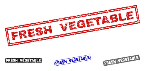 Grunge FRESH VEGETABLE rectangle stamp seals isolated on a white background. Rectangular seals with grunge texture in red, blue, black and grey colors.