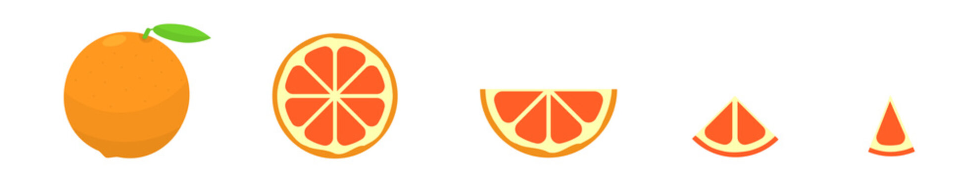 Grapefruit Vector illustration