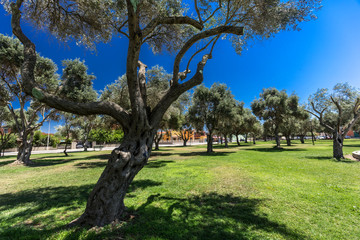 Piazza S'Olivariu Uta (Cagliari) - Sardegna - Italia