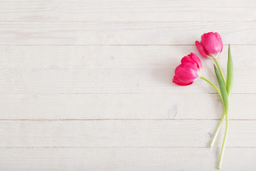 Fototapeta premium pink tulips on white wooden background
