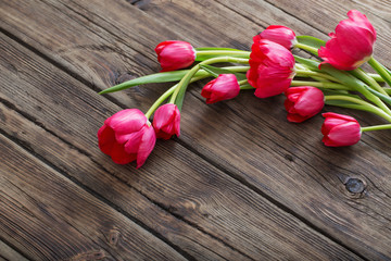 red tulips on dark wooden background