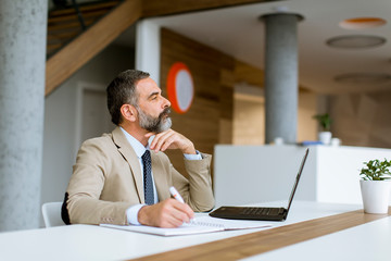 Senior businessman gray hair working on laptop in modern office