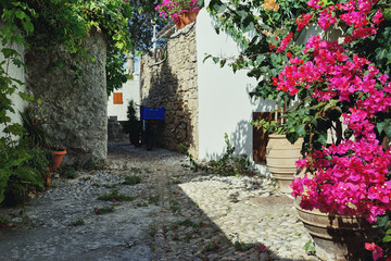Obraz na płótnie Canvas Street of the city of Rhodes Greece