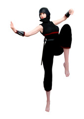 3D Rendering Female Ninja on White