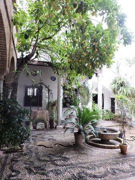 Paz y remanso en los patios cordobeses