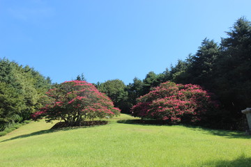 Busan Citizens Park, Busanjingu, Busan, South Korea, Asia