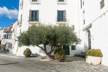 Typical white Mediterranean house, in the village of Cadaques, on the Costa Brava of Spain