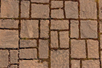 Sand set concrete pavers with moss in joints.