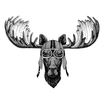 Moose, elk wearing motorcycle, aero helmet. Biker illustration for t-shirt, posters, prints.