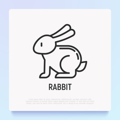 Cartoon rabbit thin line icon. Modern vector illustration for Chinese horoscope.