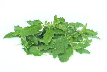 Thai basil, Thai food ingredients.With Clipping Path.