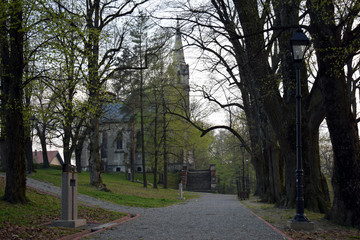 Fototapeta premium alley in the park