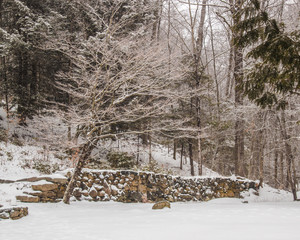 snow covered trees and stone wall in country