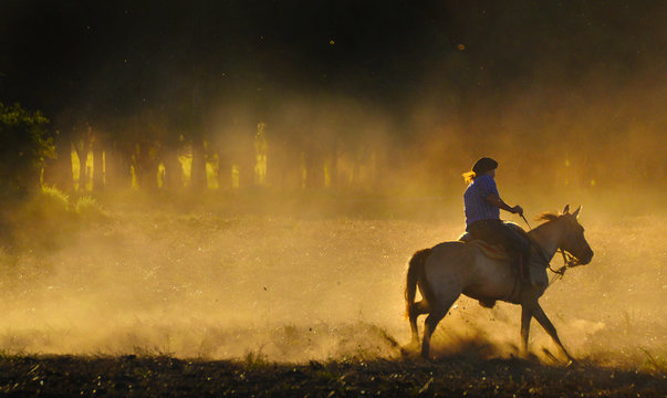 jinete galopando al atardecer