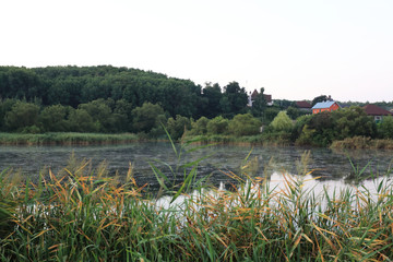 the purity of the morning sun