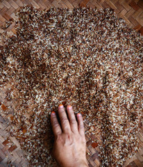 Bunch of red rice on a wood. The view from the top for background