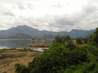Landscape with lake and animals in the reserve Valparai, India, Tamil Nadu