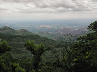 Landscape in the reserve Valparai, India, Tamil Nadu