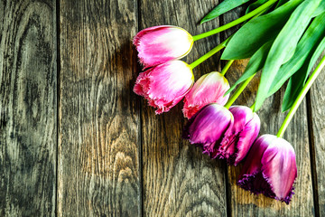 Tulips on old wooden boards.