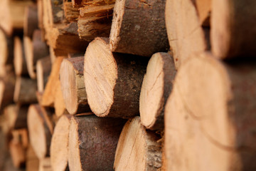 Holz gestapelt
