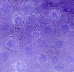 Violet bubbles 2