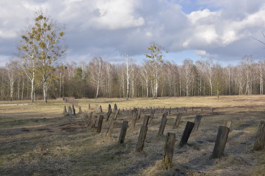 Poligon - zapory inżynieryjne